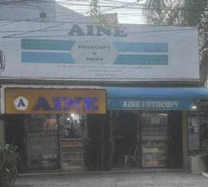 aine group